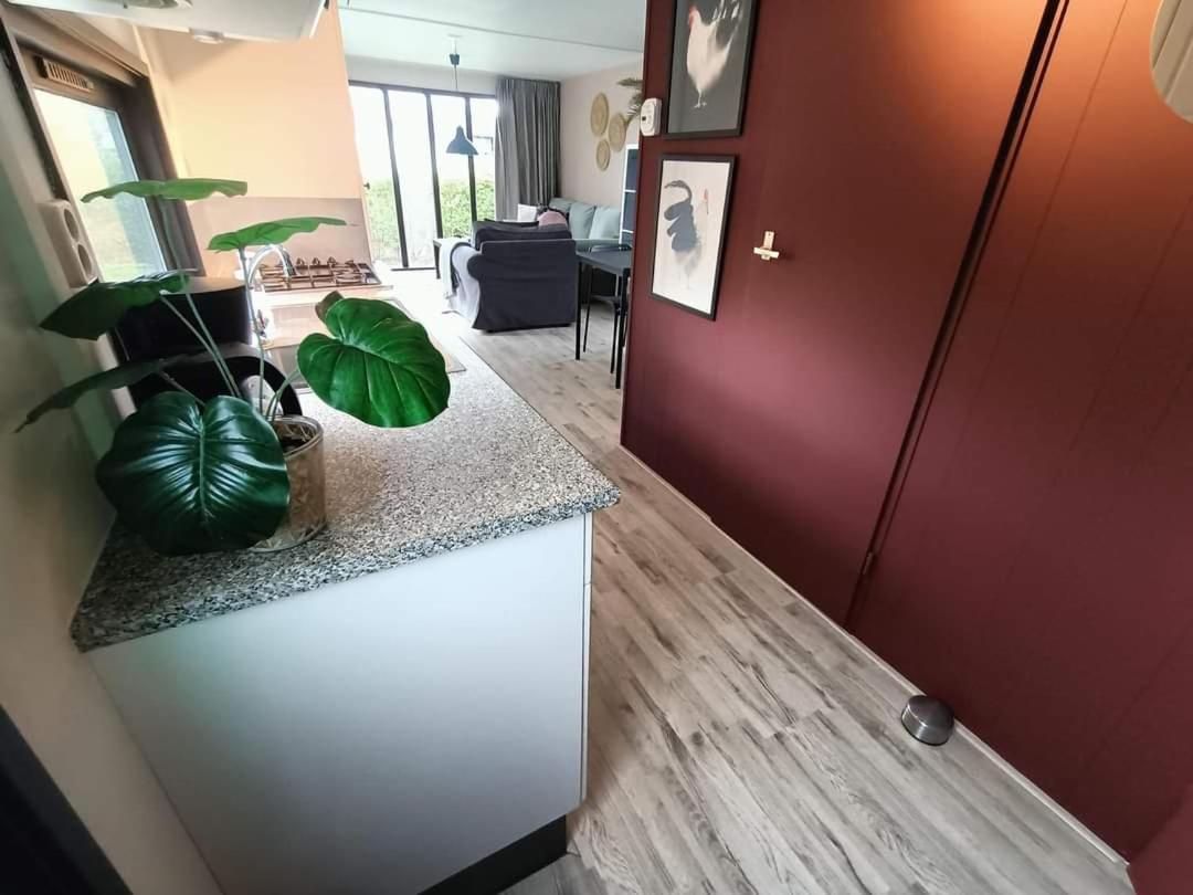 Do'S Chalets Baarland エクステリア 写真