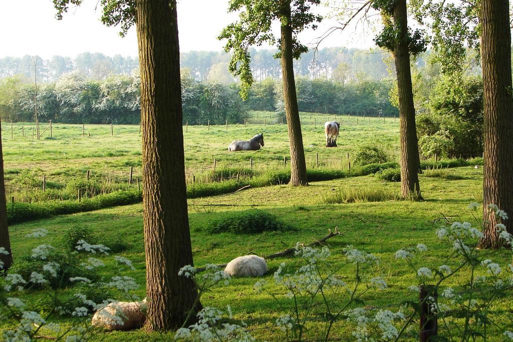 Do'S Chalets Baarland エクステリア 写真